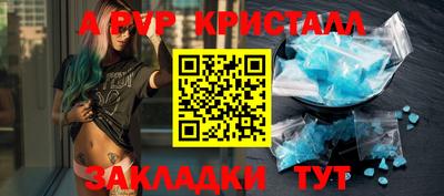 стафф Донецк