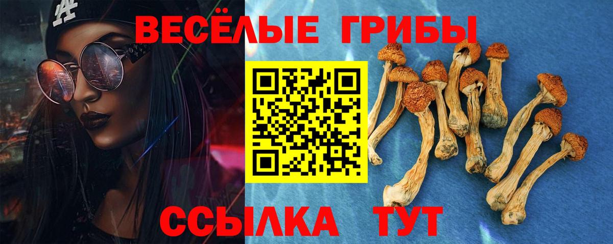 Галлюциногенные грибы мухоморы  Вход с VPN  Малгобек 