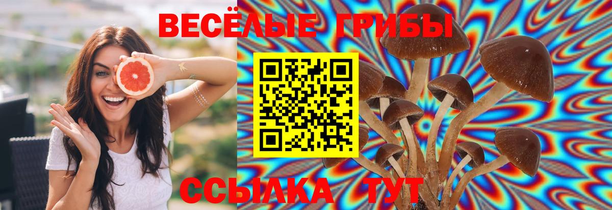 Галлюциногенные грибы мицелий Малгобек